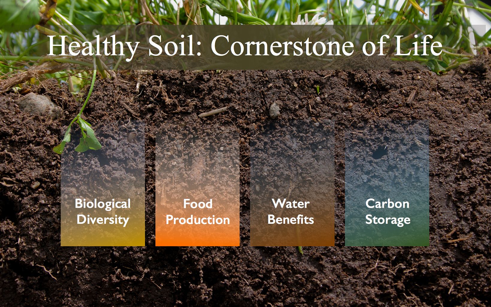 Improve Soil Health - Leicesters Soil Solutions